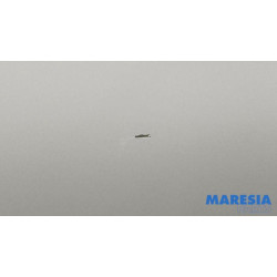 Citroen - Jumpy - Schiebetür rechts