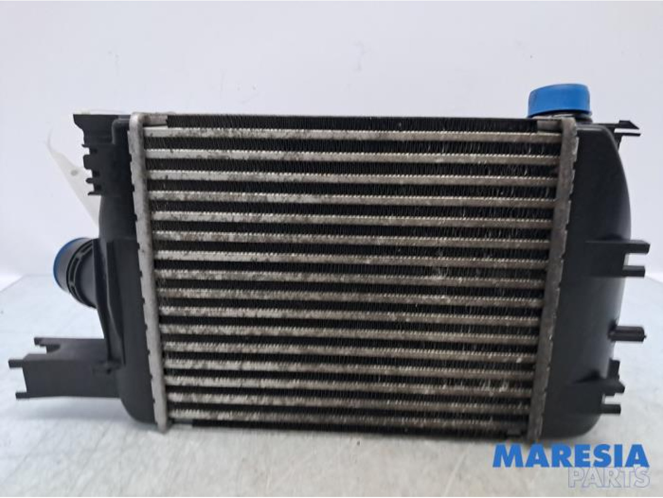 Renault - Captur - Ladeluftkühler