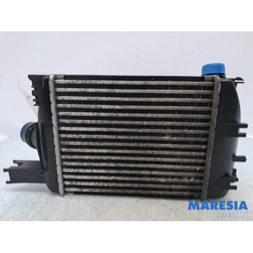 Renault - Captur - Ladeluftkühler