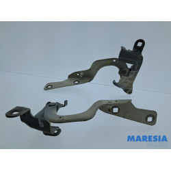 Renault - Captur - Bonnet Hinge