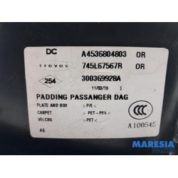 Renault - Twingo - Reifen Reparaturset