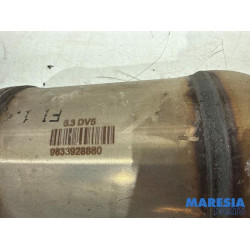 Citroen - Jumpy - Echappement silencieux arrière