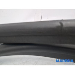 Renault - Captur - Front door seal 4-door, left