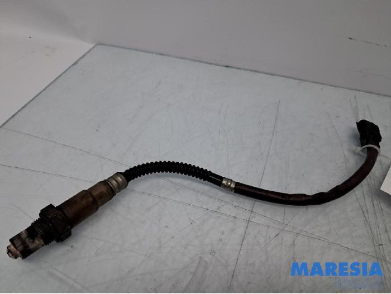 Renault - Grand Scenic - Sonde lambda