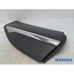 Renault - Captur - Door strip