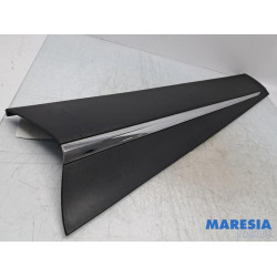 Renault - Captur - Door strip