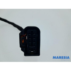 Citroen - Jumpy - Kabelbaum