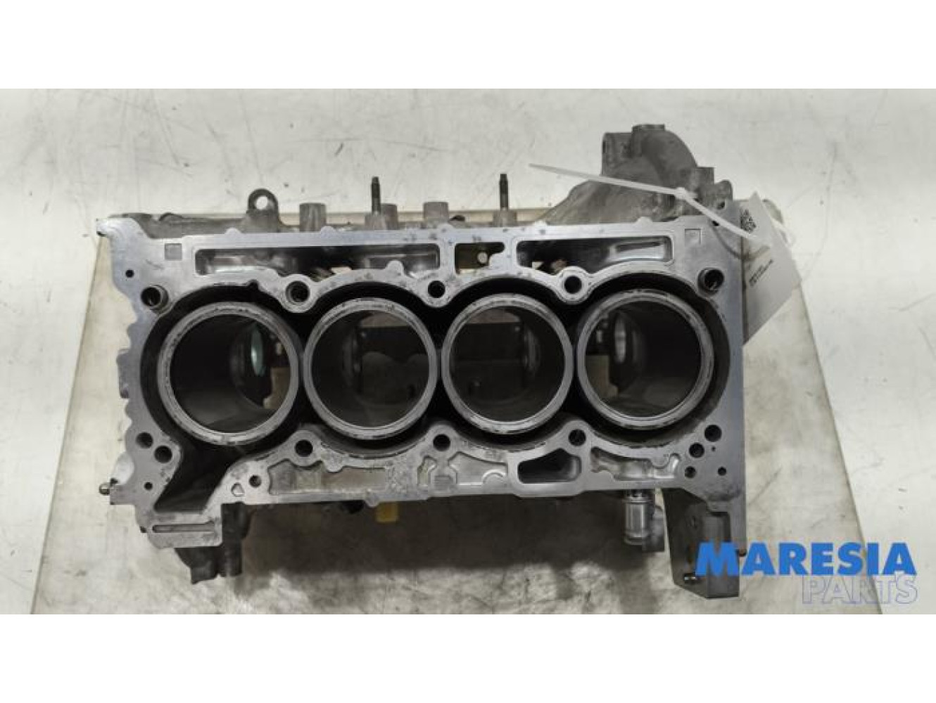 Renault - Scenic - Motor Unterblock