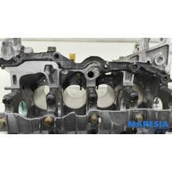 Renault - Scenic - Motor Unterblock