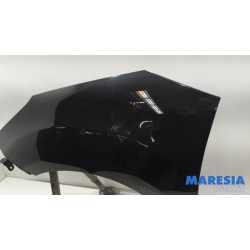 Citroen - DS3 - Front wing, left