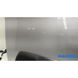 Renault - Trafic - Achterdeur Bus-Bestelauto