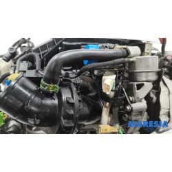 Renault - Trafic - Motor