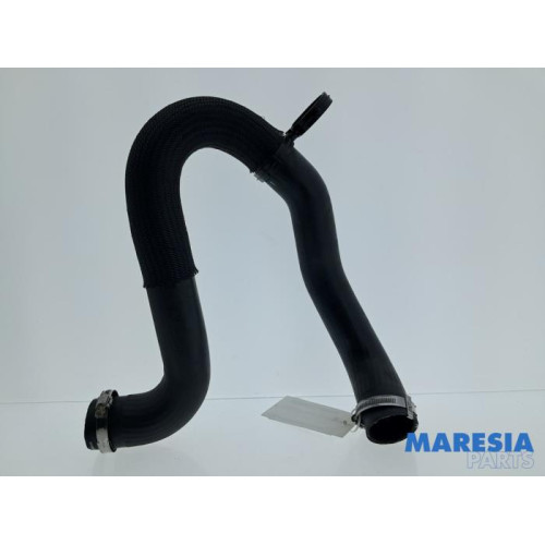 Citroen - Jumpy - Intercooler Schlauch