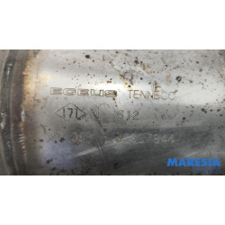 Renault - Trafic - Catalyseur