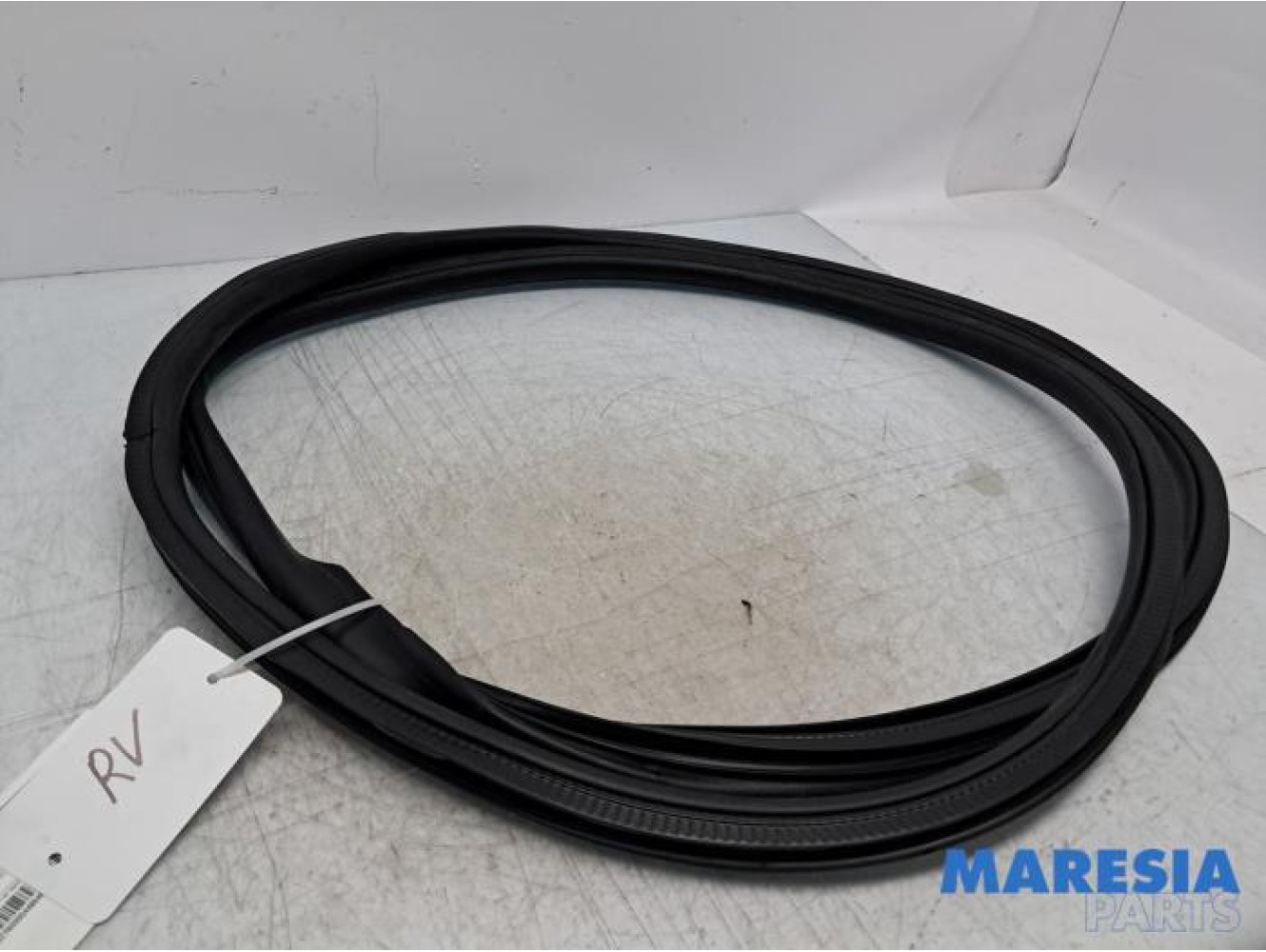 Citroen - Jumpy - Türgummi 2-türig rechts