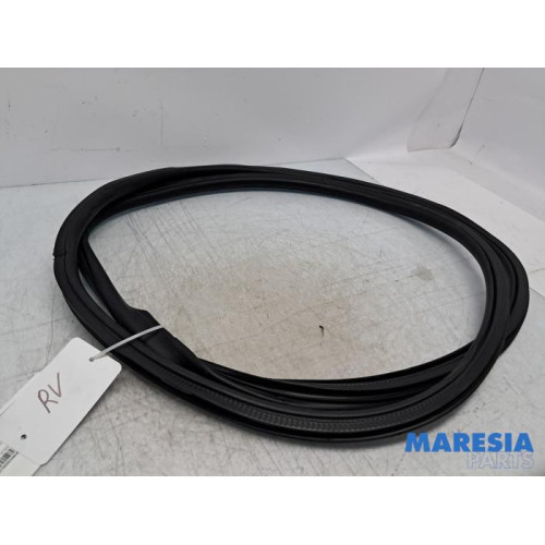 Citroen - Jumpy - Türgummi 2-türig rechts