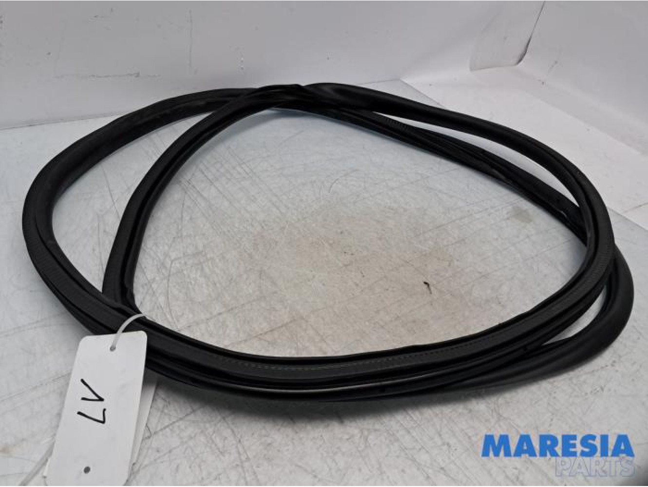 Citroen - Jumpy - Türgummi 2-türig links