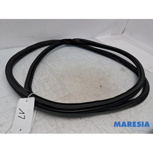 Citroen - Jumpy - Türgummi 2-türig links