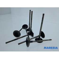 Citroen - Berlingo - Inlaatklep