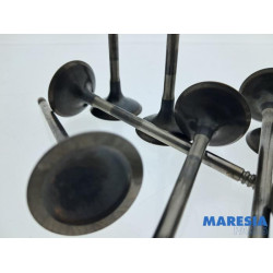 Citroen - Berlingo - Inlaatklep