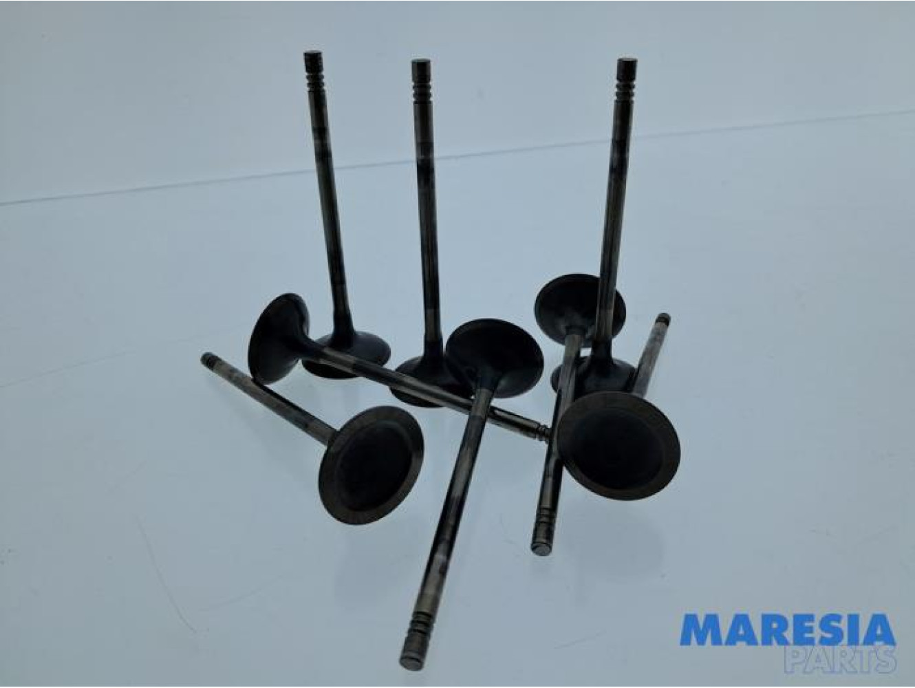 Citroen - Berlingo - Inlaatklep