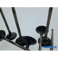 Citroen - Berlingo - Inlaatklep