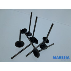 Citroen - Berlingo - Inlaatklep