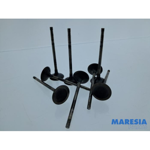 Citroen - Berlingo - Inlaatklep