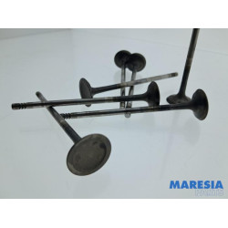 Citroen - Berlingo - Uitlaatklep