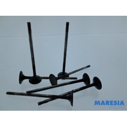 Citroen - Berlingo - Uitlaatklep