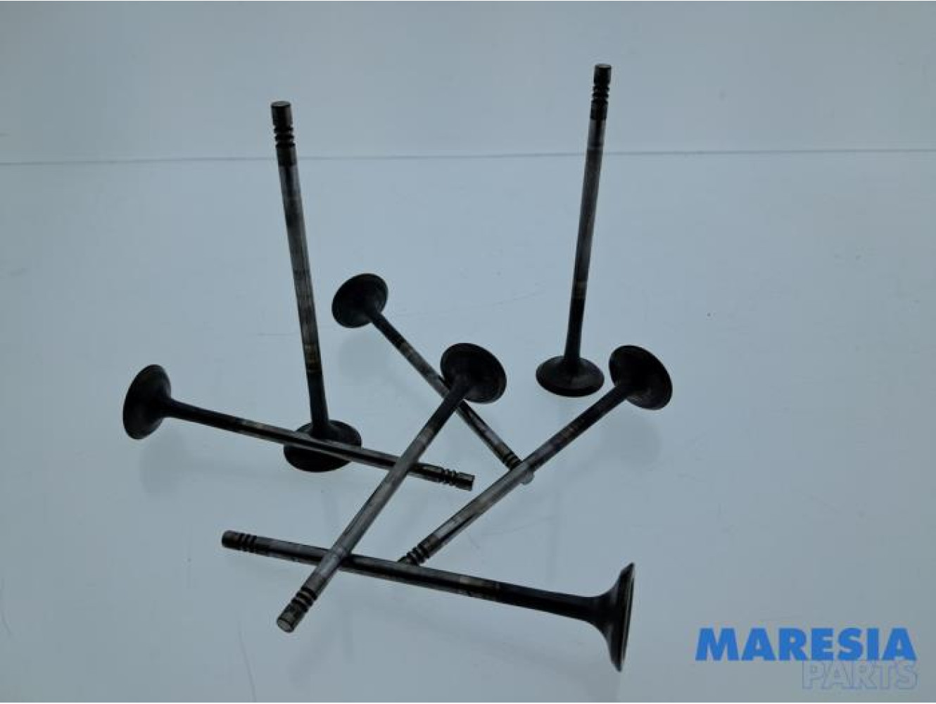 Citroen - Berlingo - Uitlaatklep