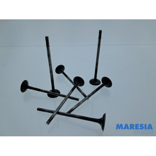 Citroen - Berlingo - Uitlaatklep