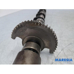 Citroen - DS4 - Nokkenas