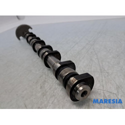 Citroen - DS4 - Nokkenas