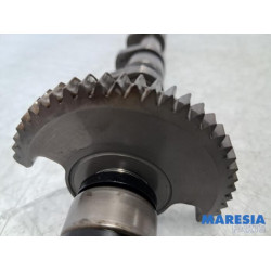 Citroen - Berlingo - Nokkenas