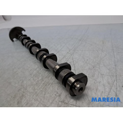 Citroen - Berlingo - Nokkenas