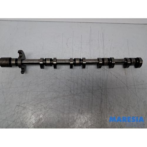 Citroen - Berlingo - Nokkenas