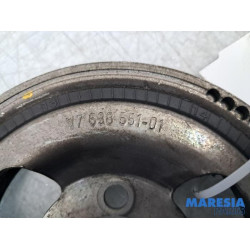 Citroen - DS4 - Krukas Poelie