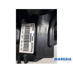 Citroen - DS3 - Kachelhuis