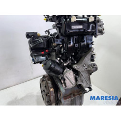 Fiat - Panda - Motor