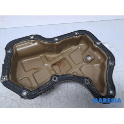 Renault - Scenic - Carterpan