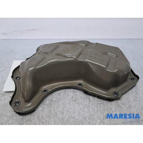 Renault - Scenic - Carterpan