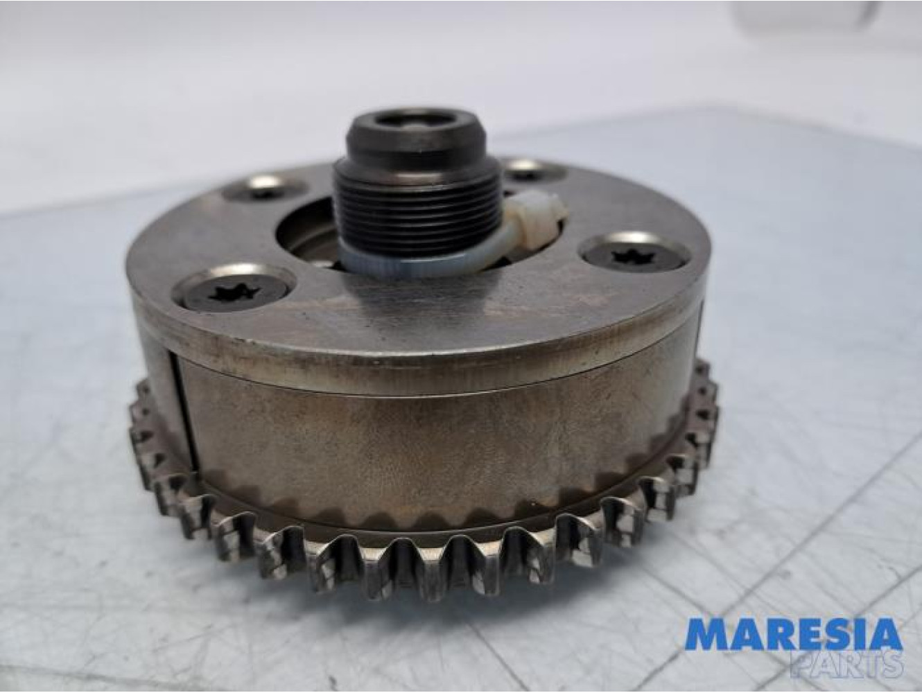 Renault - Scenic - Roue d'engrenage arbre à cames