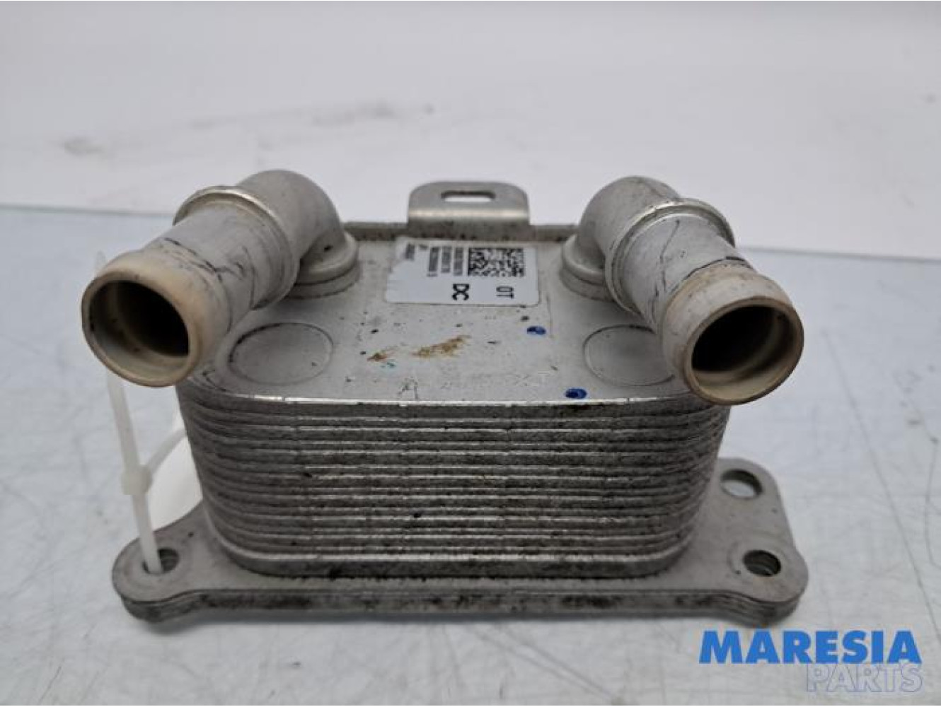 Renault - Scenic - Oliekoeler