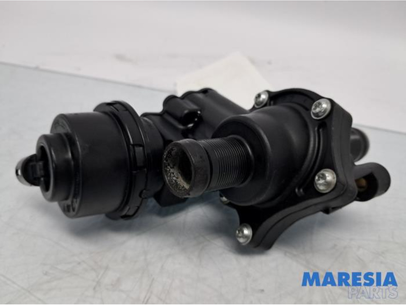 Renault - Scenic - Thermostaathuis