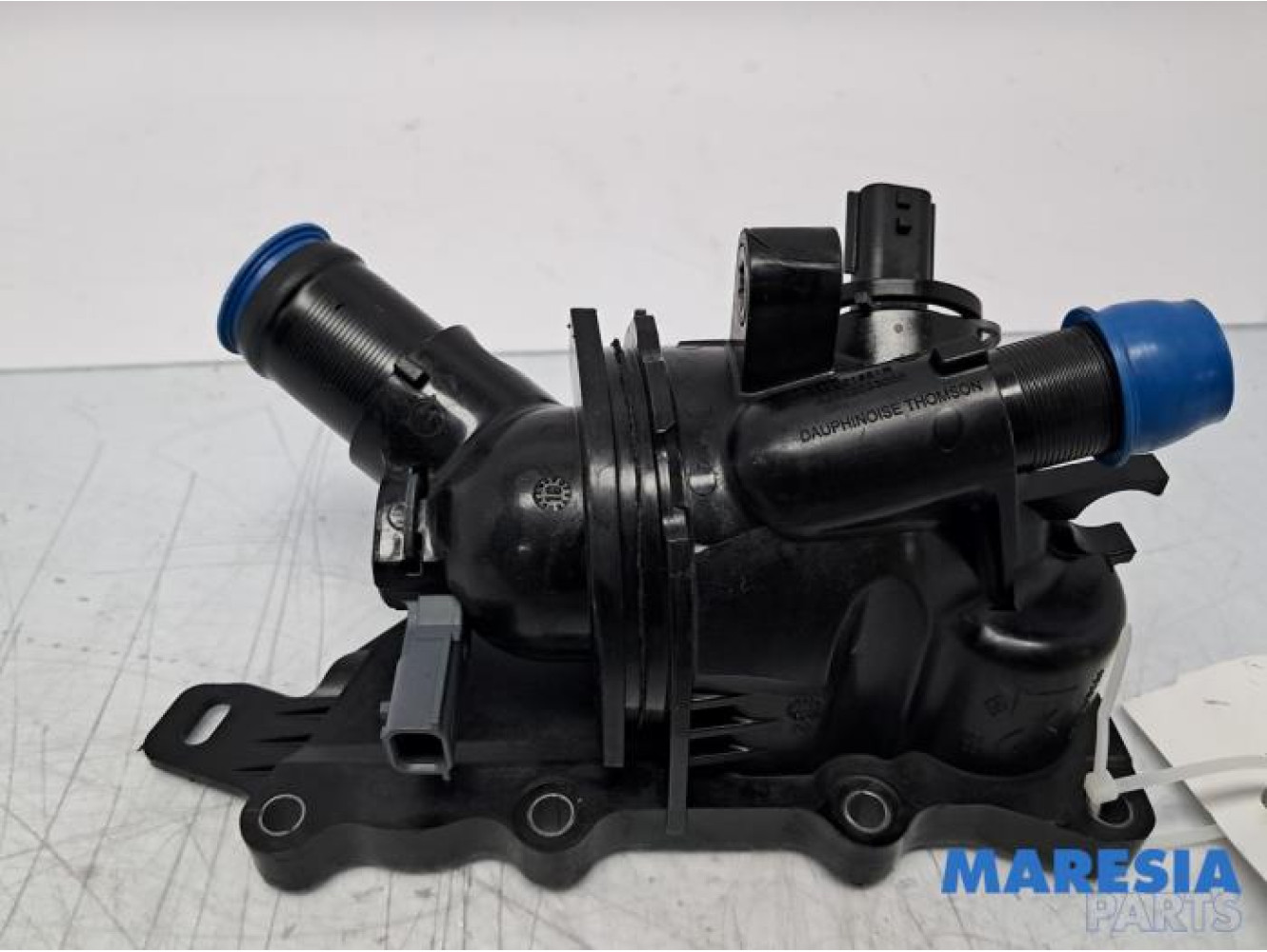 Renault - Scenic - Pompe à eau