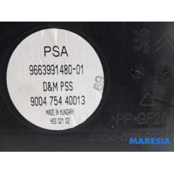 Citroen - DS3 - Subwoofer