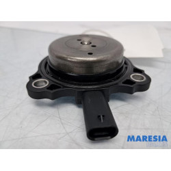 Renault - Scenic - Nokkenas Verstelling