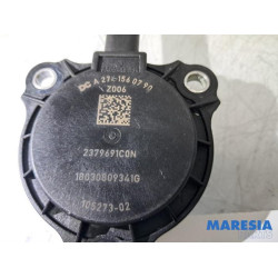 Renault - Scenic - Nokkenas Verstelling