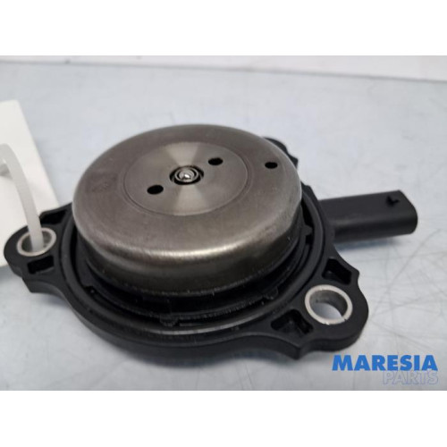 Renault - Scenic - Nokkenas Verstelling